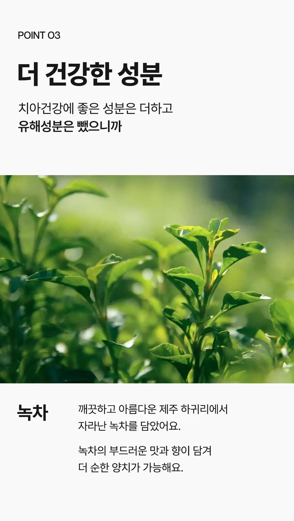 [무불소] 1950 제주 미네랄솔트 블루 치약 100g 상세페이지 11